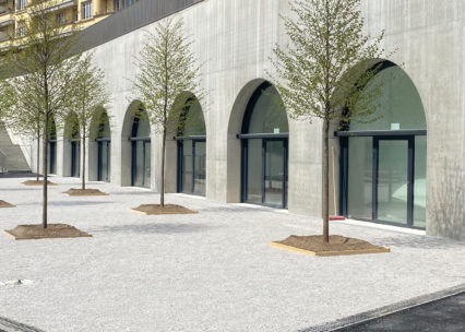 Restaurant Arcadia, Plateforme 10, Lausanne